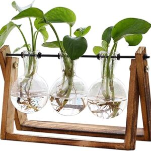 Flower Plant Terrarium with Wooden Stand