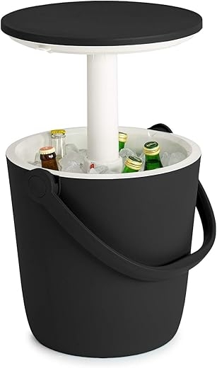 4.2 Gallon Portable Beer and Wine Cooler