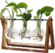 Flower Plant Terrarium with Wooden Stand