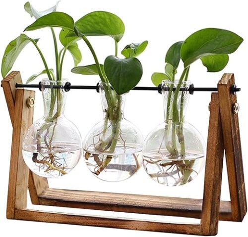Flower Plant Terrarium with Wooden Stand